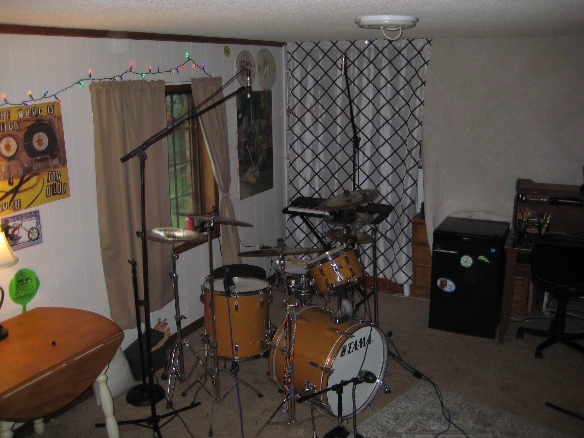 willows drum set mic'd up